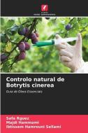 Controlo natural de Botrytis cinerea di Safa Rguez, Majdi Hammami, Ibtissem Hamrouni Sellami edito da Edições Nosso Conhecimento