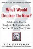 What Would Drucker Do Now?: Solutions to Today's Toughest Challenges from the Father of Modern Management di Rick Wartzman edito da MCGRAW HILL BOOK CO