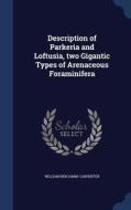 Description Of Parkeria And Loftusia, Two Gigantic Types Of Arenaceous Foraminifera di William Benjamin Carpenter edito da Sagwan Press
