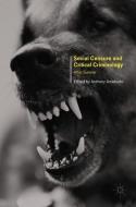 Social Censure and Critical Criminology edito da Palgrave Macmillan