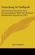 Trenching at Gallipoli: The Personal Narrative of a Newfoundlander with the Ill-Fated Dardanelles Expedition (1917) di John Gallishaw edito da Kessinger Publishing