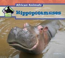 Hippopotamuses di Julie Murray edito da Big Buddy Books