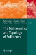 The Mathematics and Topology of Fullerenes edito da Springer Netherlands