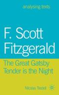 F. Scott Fitzgerald: The Great Gatsby/Tender is the Night di Nicolas Tredell edito da Macmillan Education UK