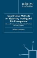Quantitative Methods for Electricity Trading and Risk Management di S. Fiorenzani edito da Palgrave Macmillan UK
