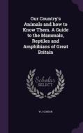 Our Country's Animals And How To Know Them. A Guide To The Mammals, Reptiles And Amphibians Of Great Britain di W J Gordon edito da Palala Press