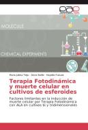 Terapia Fotodinámica y muerte celular en cultivos de esferoides di María Julieta Teijo, Alcira Batlle, Haydée Fukuda edito da EAE