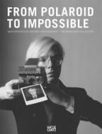 From Polaroid to Impossible: Masterpieces of Instant Photography, the Westlicht Collection di Achim Heine edito da Hatje Cantz
