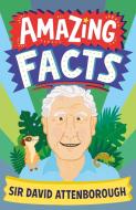 AMAZING FACTS DAVID ATTENBOROUGH di Hannah Wilson edito da HarperCollins Publishers