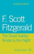 F. Scott Fitzgerald: The Great Gatsby/Tender Is the Night di Nicolas Tredell edito da SPRINGER NATURE