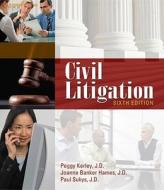 Civil Litigation di Peggy Kerley, Joanne Banker Hames, Paul Sukys edito da Cengage Learning, Inc