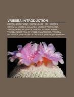 Vriesea Introduction: Vriesea Ensiformis di Source Wikipedia edito da Books LLC, Wiki Series