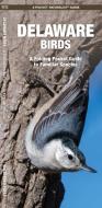 Delaware Birds: A Folding Pocket Guide to Familiar Species di James Kavanagh edito da Waterford Press