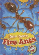 Fire Ants di Kari Schuetz edito da Blastoff! Readers