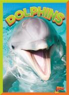 Dolphins di Gail Terp edito da BLACK RABBIT BOOKS