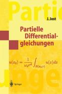 Partielle Differentialgleichungen di Jürgen Jost edito da Springer Berlin Heidelberg