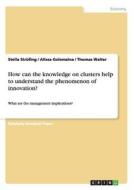 How can the knowledge on clusters help to understand the phenomenon of innovation? di Alissa Golomzina, Stella Strüfing, Thomas Walter edito da GRIN Publishing