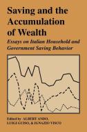 Saving and the Accumulation of Wealth edito da Cambridge University Press