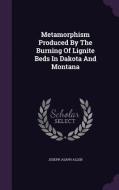 Metamorphism Produced By The Burning Of Lignite Beds In Dakota And Montana di Joseph Asaph Allen edito da Palala Press