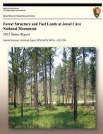 Forest Structure and Fuel Loads at Jewel Cave National Monument: 2011 Status Report di National Park Service edito da Createspace