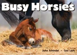 Busy Horsies di John Schindel edito da Tricycle Press