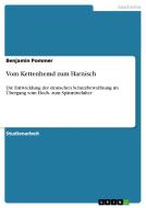 Vom Kettenhemd zum Harnisch di Benjamin Pommer edito da GRIN Verlag