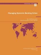 Managing Systemic Banking Crises di David S. Hoelscher, Marc Quintyn edito da International Monetary Fund (imf)