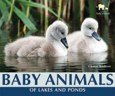 Baby Animals of Lakes and Ponds di Carmen Bredeson edito da Enslow Elementary