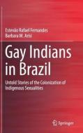 Gay Indians In Brazil di Estevao R. Fernandes, Barbara M. Arisi edito da Springer International Publishing Ag