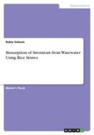 Biosorption of Strontiom from Watewater Using Rice Straws di Rabia Saleem edito da GRIN Verlag