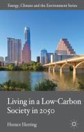 Living in a Low-Carbon Society in 2050 edito da Palgrave Macmillan