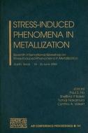 Seventh International Workshop On Stress-induced Phenomena In Metallization edito da American Institute Of Physics