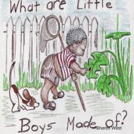 Sherry's Babies : What Are Little Boys Made Of? Made Of? di Sharon West edito da Lulu.com