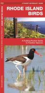 Rhode Island Birds: A Folding Pocket Guide to Familiar Species di James Kavanagh edito da Waterford Press