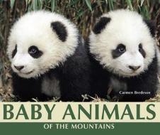 Baby Animals of the Mountains di Carmen Bredeson edito da Enslow Elementary