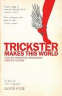 Trickster Makes This World di Lewis Hyde edito da Canongate Books Ltd