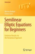Semilinear Elliptic Equations for Beginners di Marino Badiale, Enrico Serra edito da Springer London Ltd