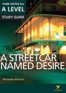 A Streetcar Named Desire: York Notes for A-level di Hana Sambrook, Steve Eddy edito da Pearson Education Limited
