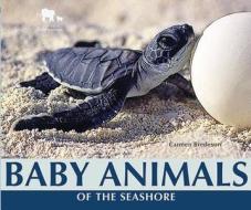 Baby Animals of the Seashore di Carmen Bredeson edito da Enslow Elementary