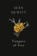 Tongues Of Fire di Sean Hewitt edito da Vintage Publishing