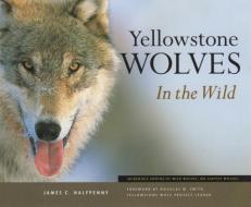 Yellowstone Wolves in the Wild di James C. Halfpenny edito da Riverbend Publishing