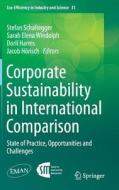 Corporate Sustainability in International Comparison edito da Springer International Publishing