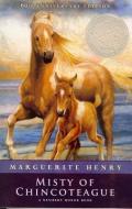 Misty of Chincoteague di Marguerite Henry edito da PERFECTION LEARNING CORP