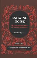 Knowing Noise di Ann Snodgrass edito da Lang, Peter