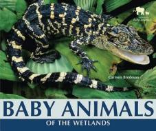 Baby Animals of the Wetlands di Carmen Bredeson edito da Enslow Elementary