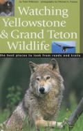 Watching Yellowstone & Grand Teton Wildlife di Todd Wilkinson edito da RIVERBEND PUB