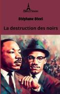 La destruction des noirs di Stéphane Steel edito da J.R. Cook Publishing