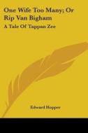 One Wife Too Many; Or Rip Van Bigham: A Tale Of Tappan Zee di Edward Hopper edito da Kessinger Publishing, Llc