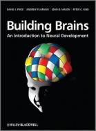Building Brains di David J. Price, Andrew P. Jarman, John O. Mason, Peter C. Kind edito da John Wiley And Sons Ltd