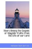 Hours Among The Gospels Or Wayside Truths From The Life Of Our Lord di Nathaniel Clark Burt edito da Bibliolife